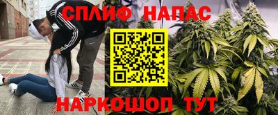 спиды Краснознаменск
